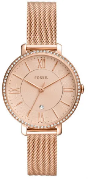 Fossil Jacqueline