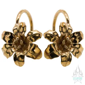 Lily Weights